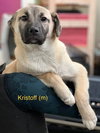 Kristoff