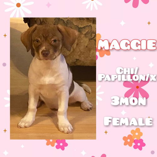 Maggie