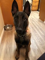 Kona