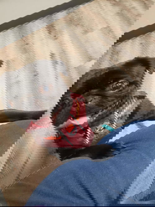 Java