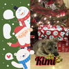 Kimi