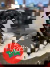 Trix