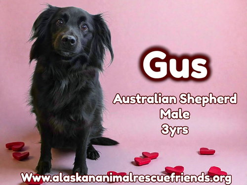 Gus