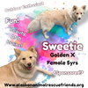 Sweetie