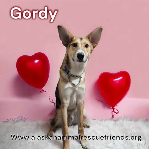 Gordy