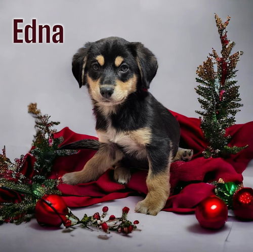 Edna