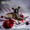 Claussen