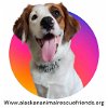 adoptable Dog in anchorage, AK named Mabel