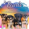 adoptable Dog in , AK named The Pearls
