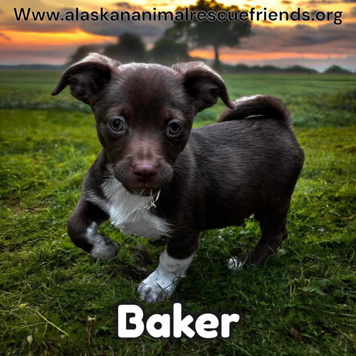 Baker