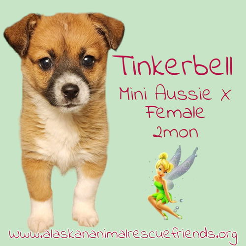 Tinkerbell