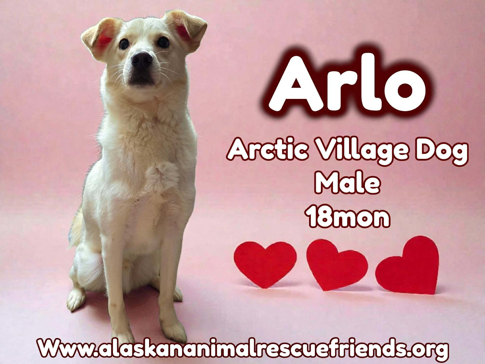 Arlo