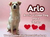 Arlo