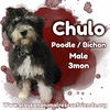 Chulo