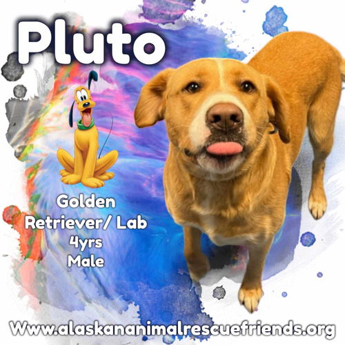 Pluto