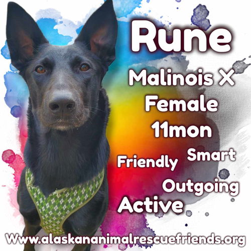 Rune