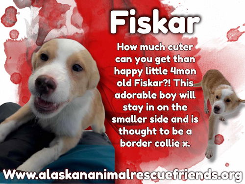 Fiskar