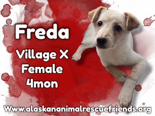 Freda