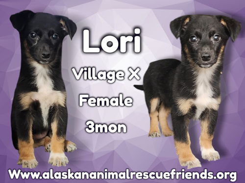 Lori