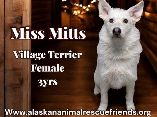 Miss Mitts