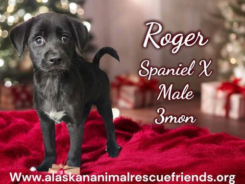 Roger