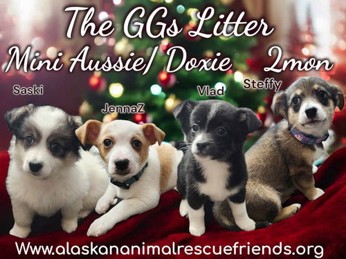 GG's Litter - JennaZ