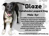 Blaze