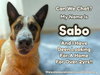 Sabo - Photo 1