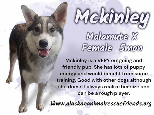 Mckinley