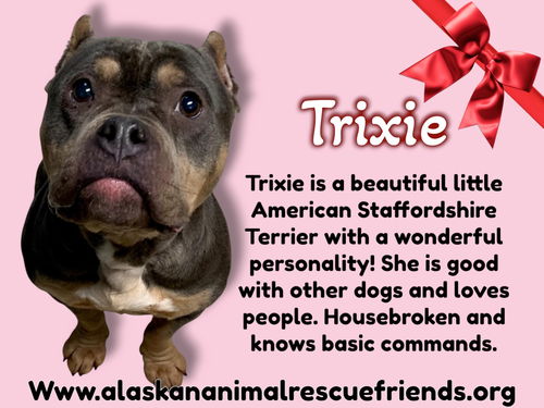 Trixie