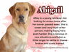 Abigail/Abby