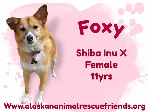Foxy