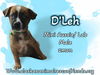 D'Leh