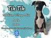 TikTik