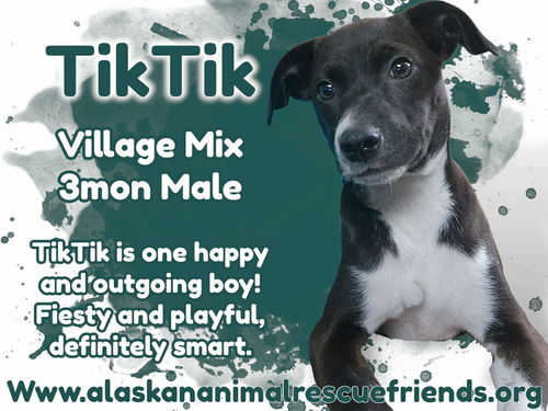 TikTik