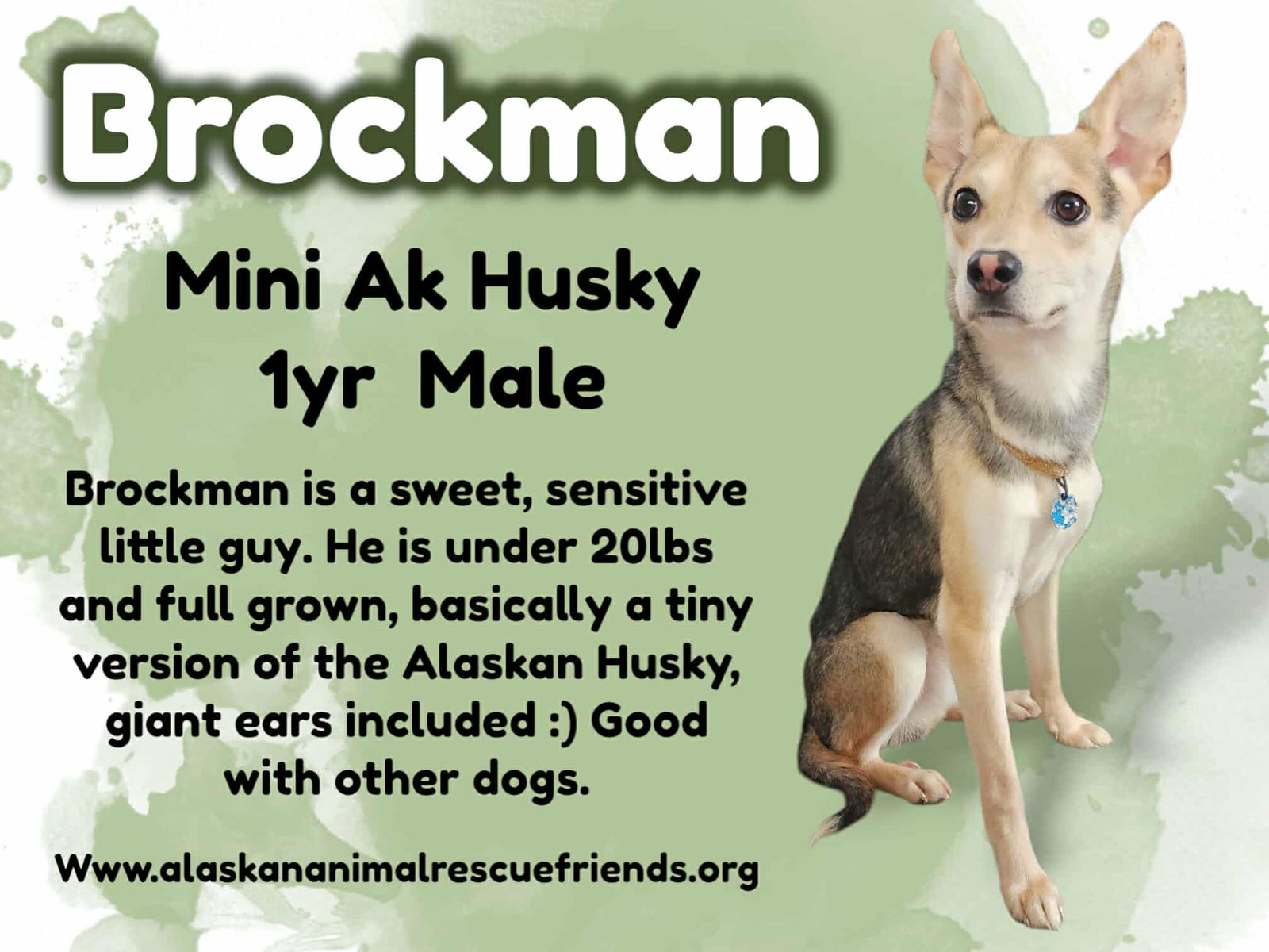 Brockman