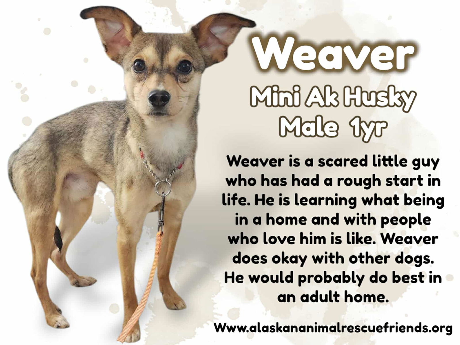 Weaver