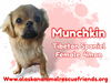 Munchkin
