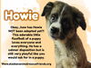 Howie