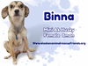 Binna