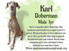 Karl