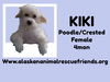 KiKi