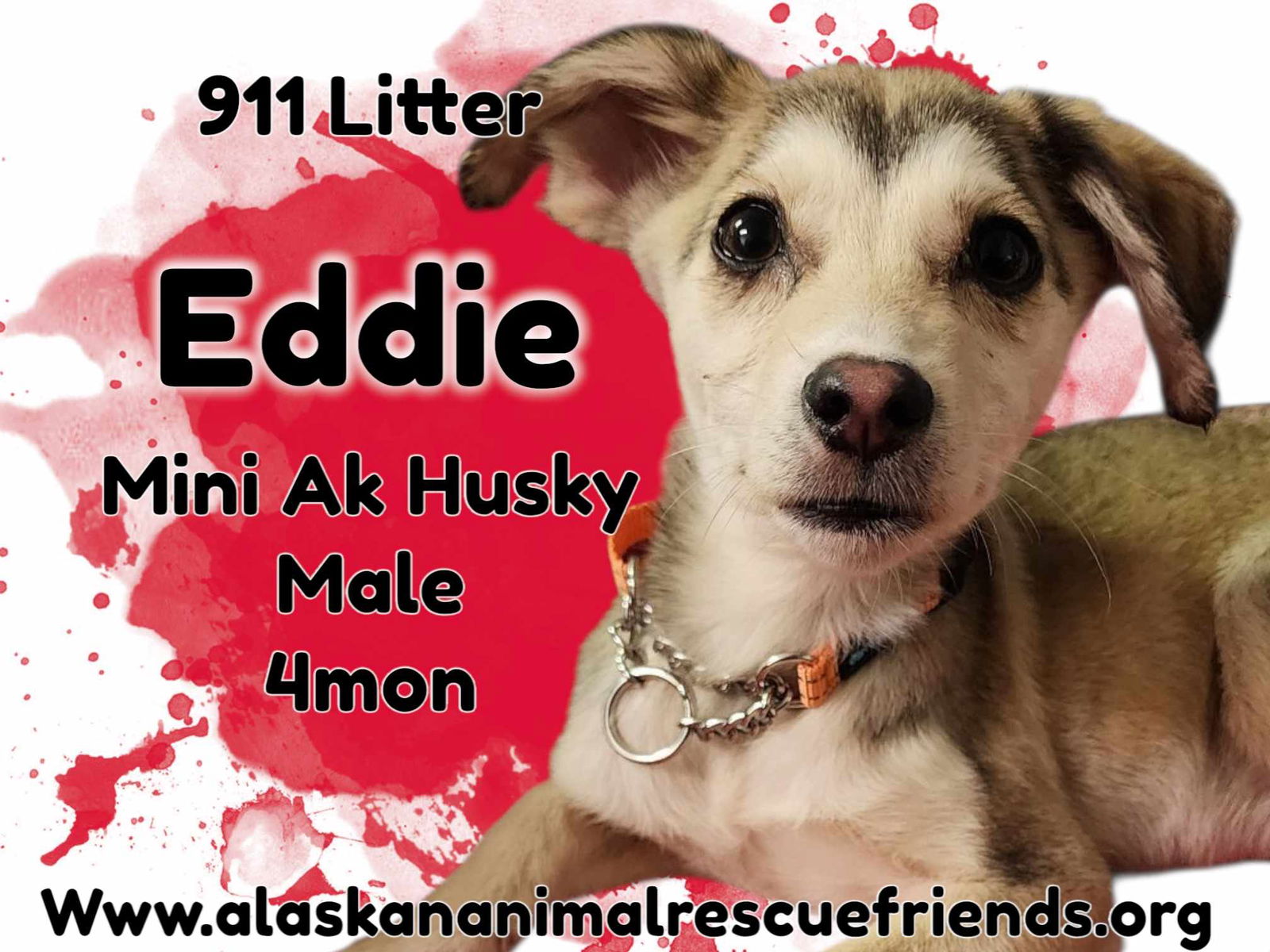 911 - Eddie