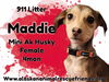 911 - Maddie