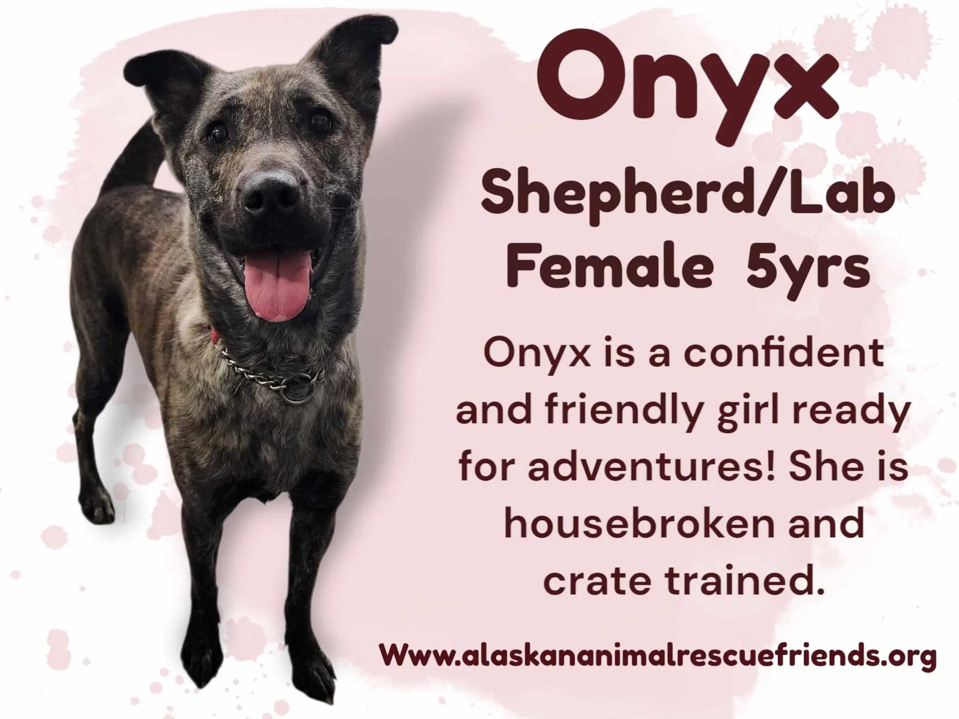 Onyx image 2
