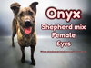 Onyx - Photo 1