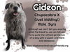 Gideon