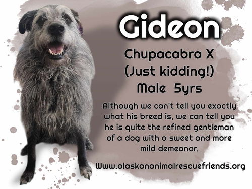 Gideon