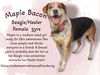 Maple Bacon