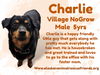 Charlie